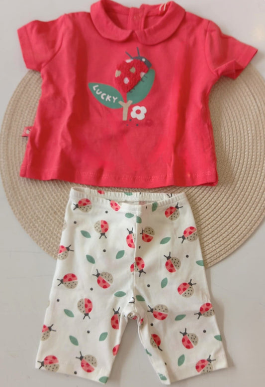 Set LadyBirds Boboli